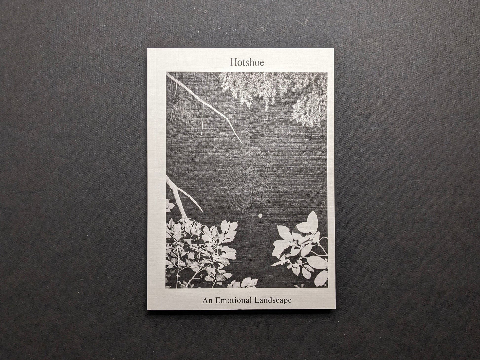 Front cover of Hotshoe: An Emotional Landscape featuring a spider web among branches.