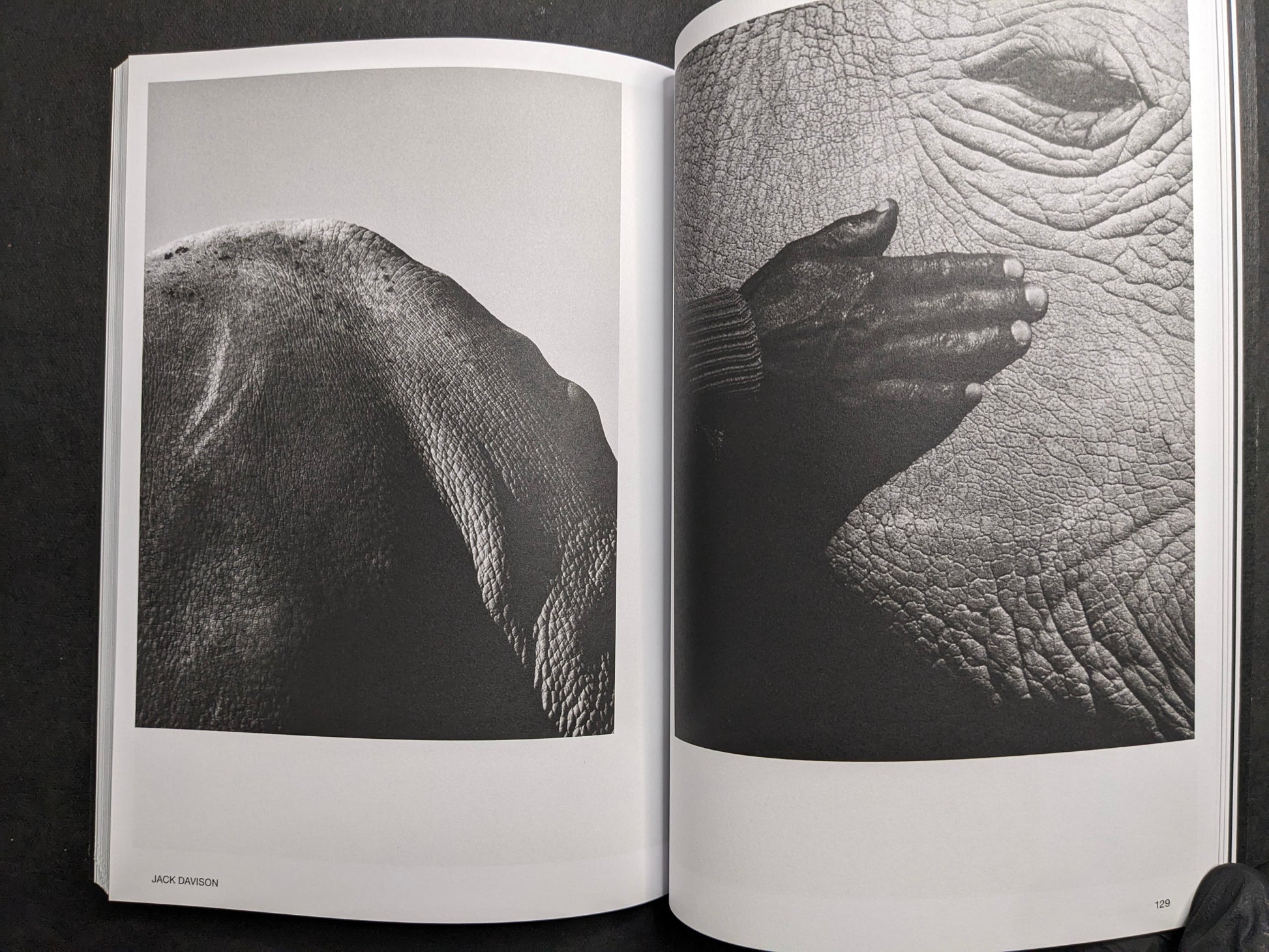 Jack Davison portfolio spread in Hotshoe Issue 209: An Emotional Landscape.