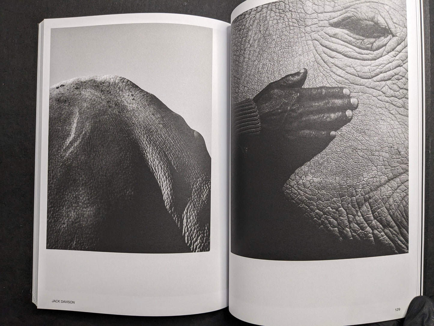 Jack Davison portfolio spread in Hotshoe Issue 209: An Emotional Landscape.