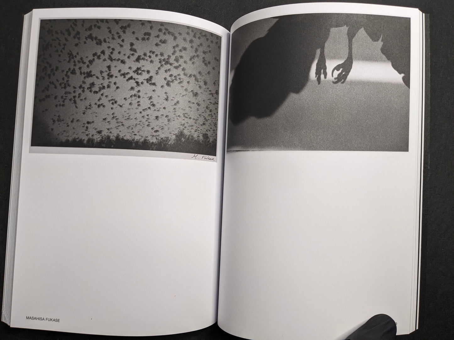 Masahisa Fukase portfolio spread in Hotshoe Issue 209: An Emotional Landscape.