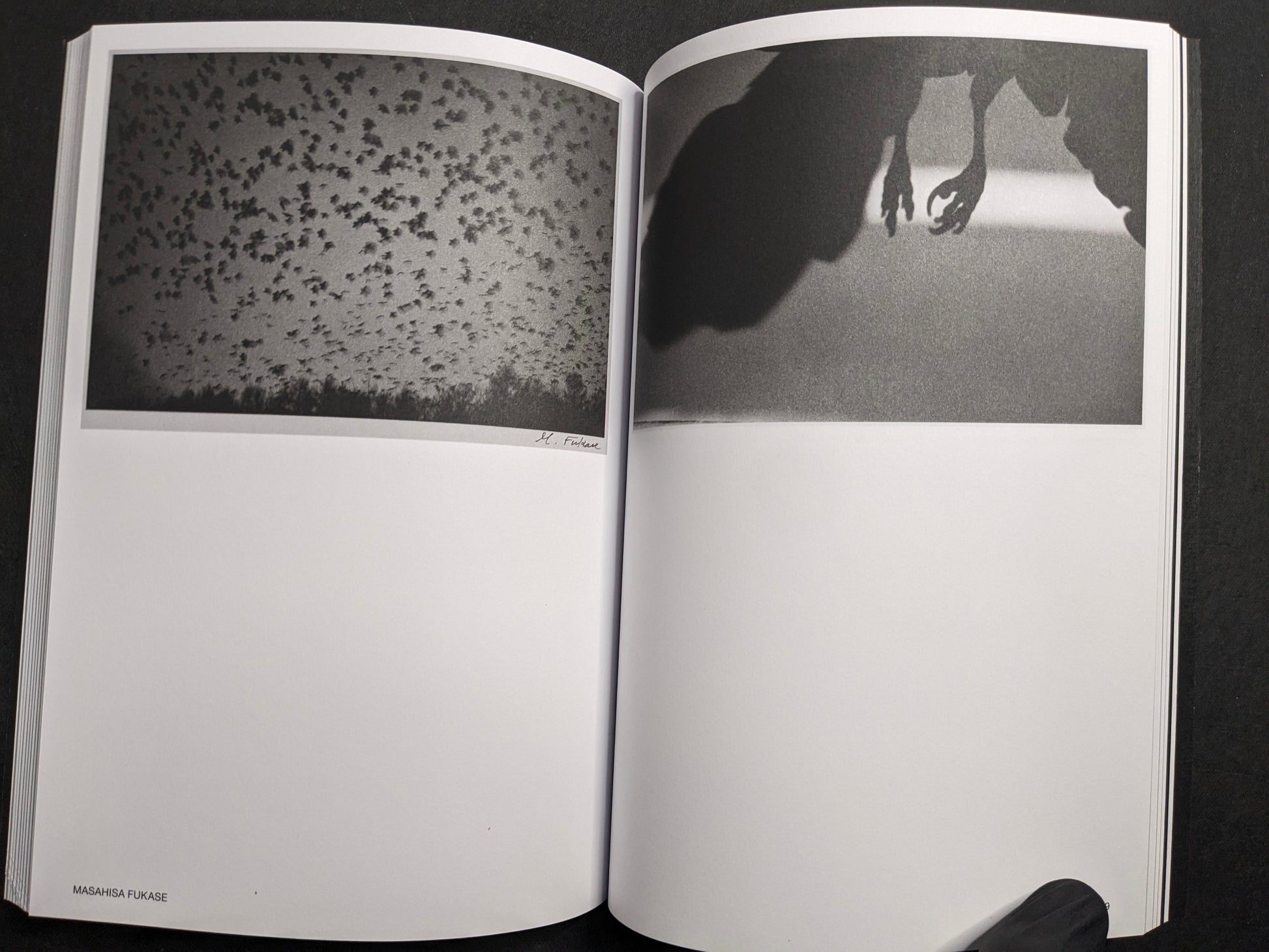 Masahisa Fukase portfolio spread in Hotshoe Issue 209: An Emotional Landscape.