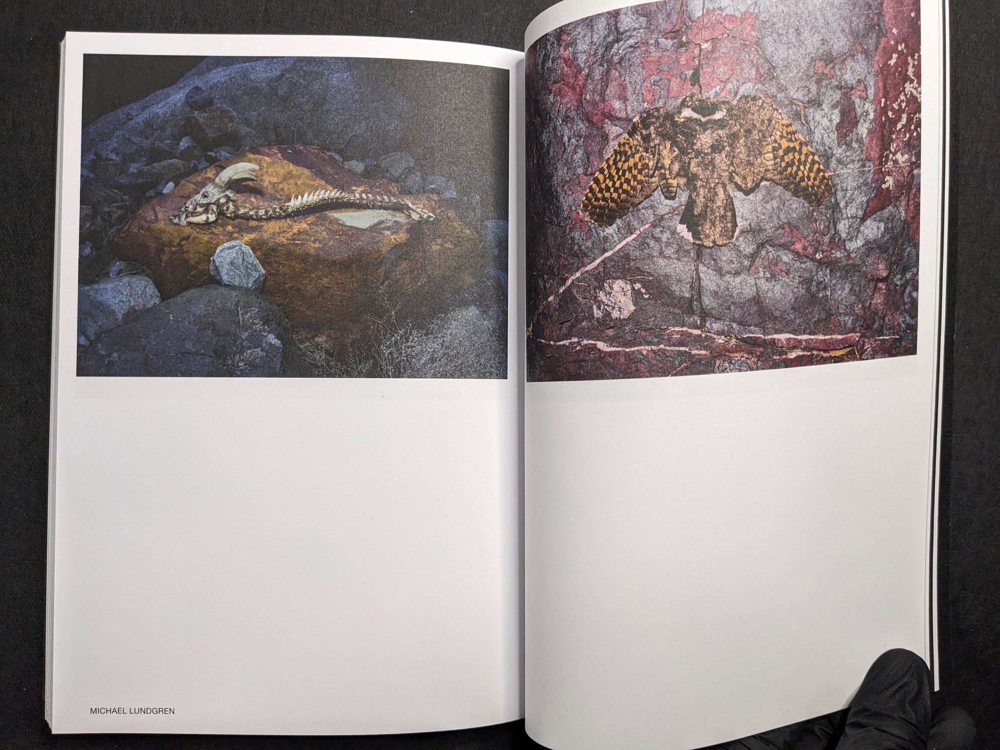 Michael Lundgren portfolio spread in Hotshoe Issue 209: An Emotional Landscape.