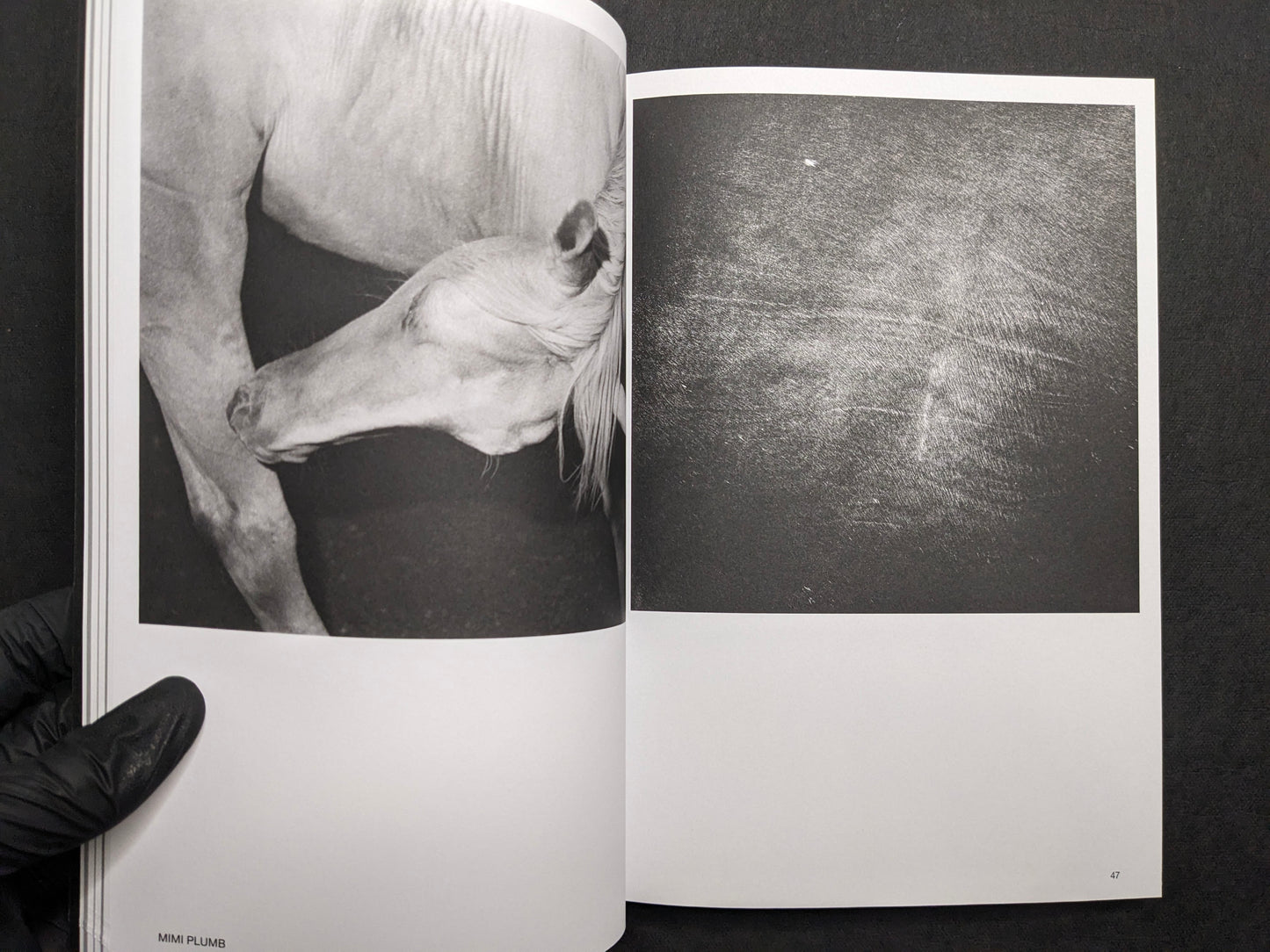 Interior spread for Mimi Plumb, showing a horse portrait and an abstract dark field.