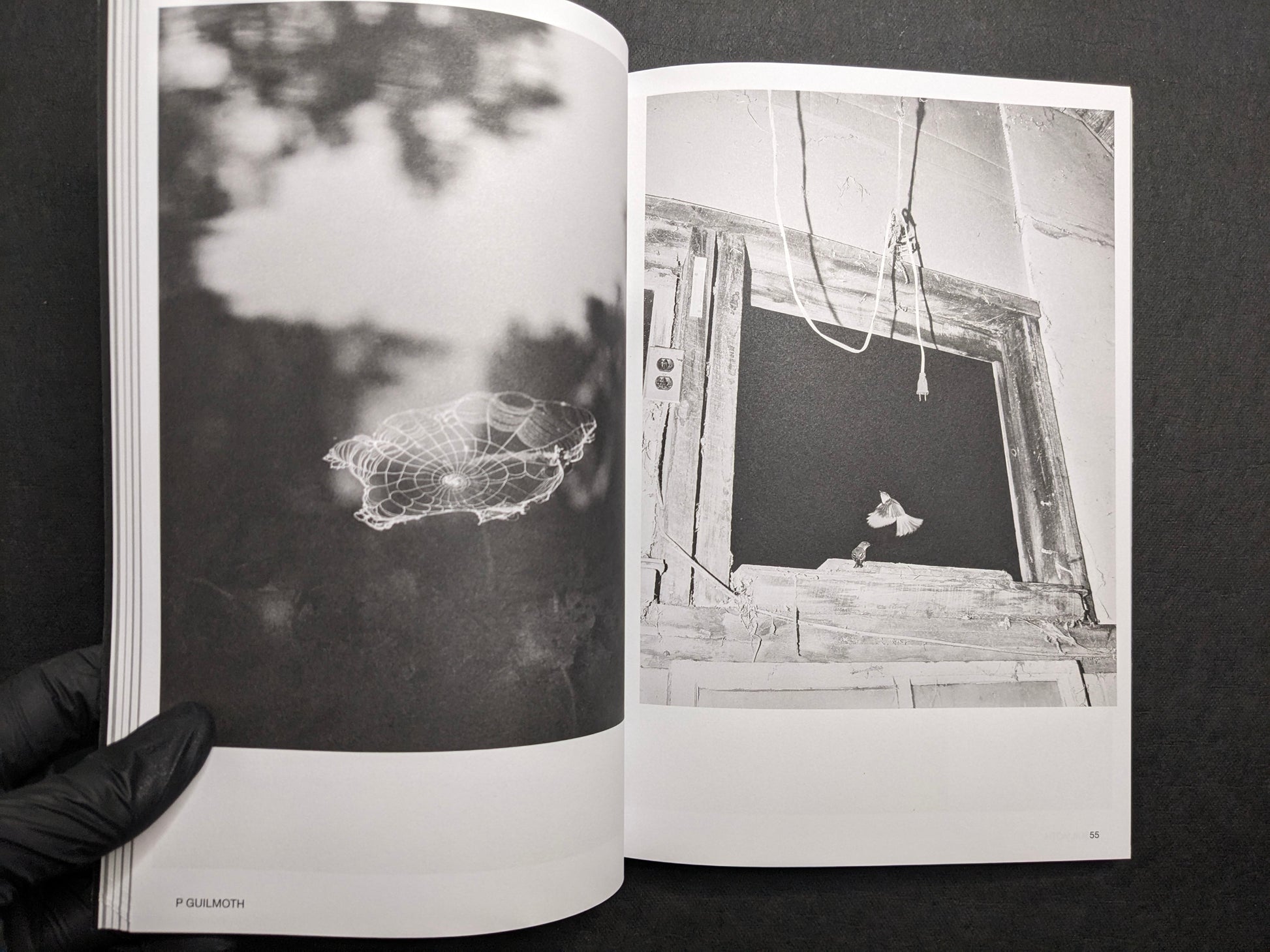 Interior spread for P. Guilmoth, with a floating web form and a window scene with a bird in motion.