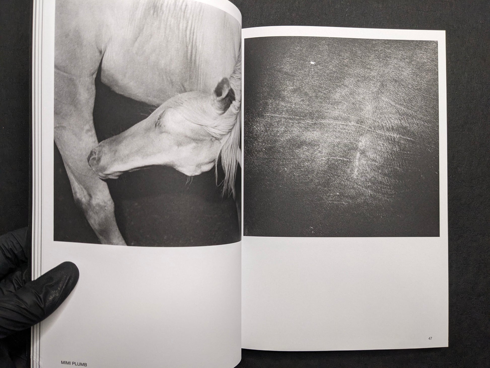 Interior spread (Mimi Plumb) showing a horse portrait and an abstract dark field.