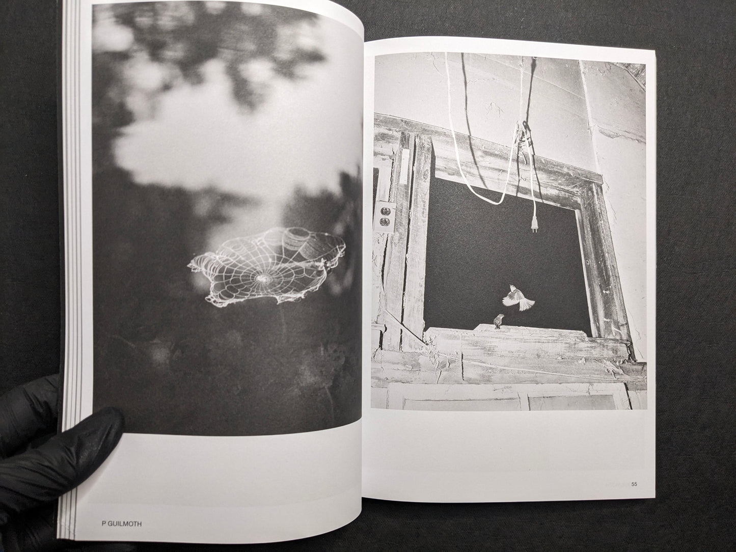 Interior spread (P Guilmoth) with a floating web form and a window scene with a bird in motion.
