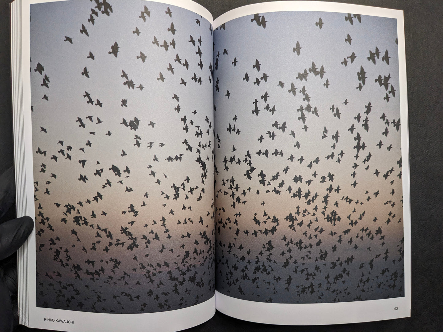 Interior spread (Rinko Kawauchi) showing a flock of birds across a twilight sky.