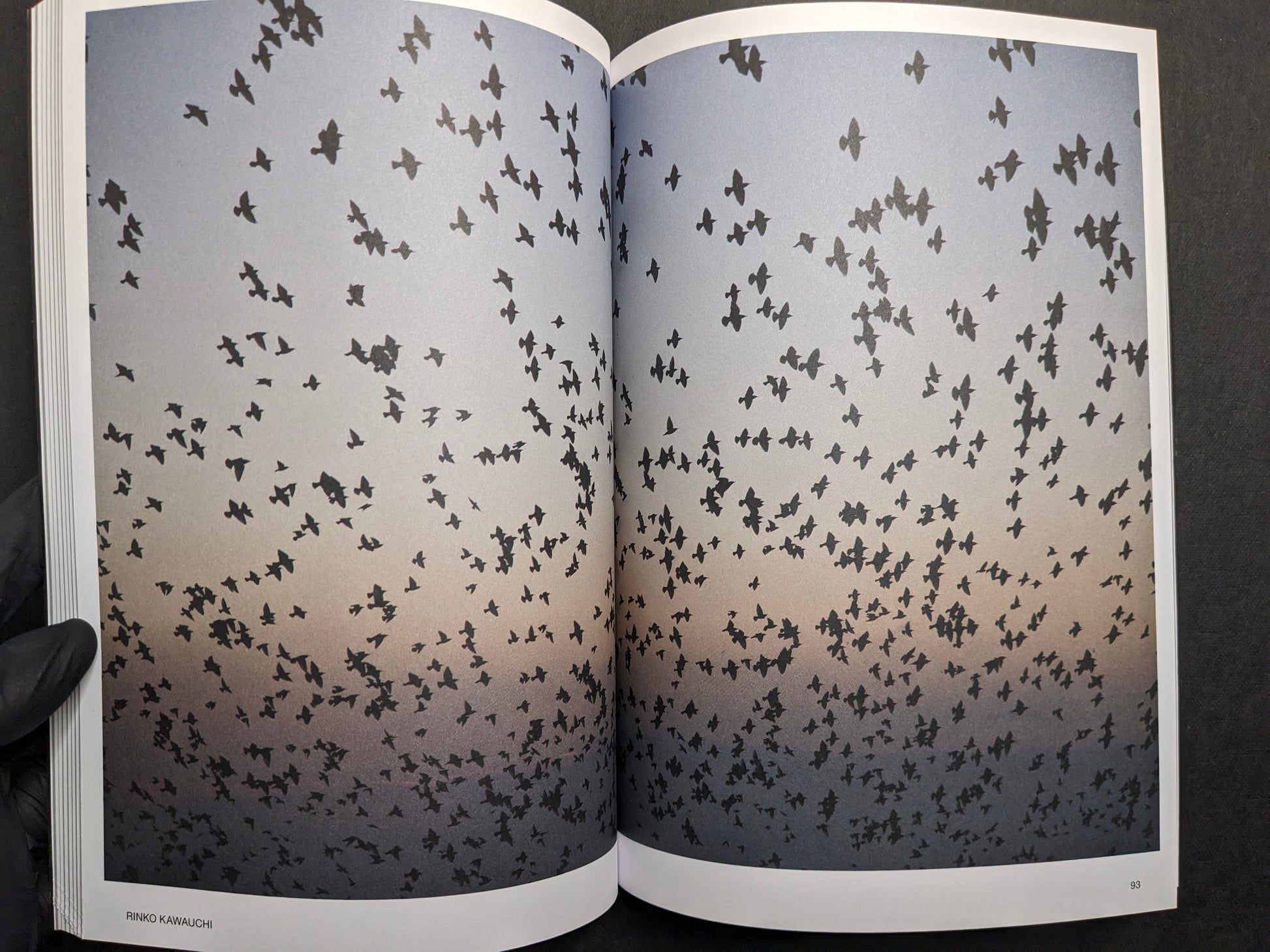 Interior spread (Rinko Kawauchi) showing a flock of birds across a twilight sky.
