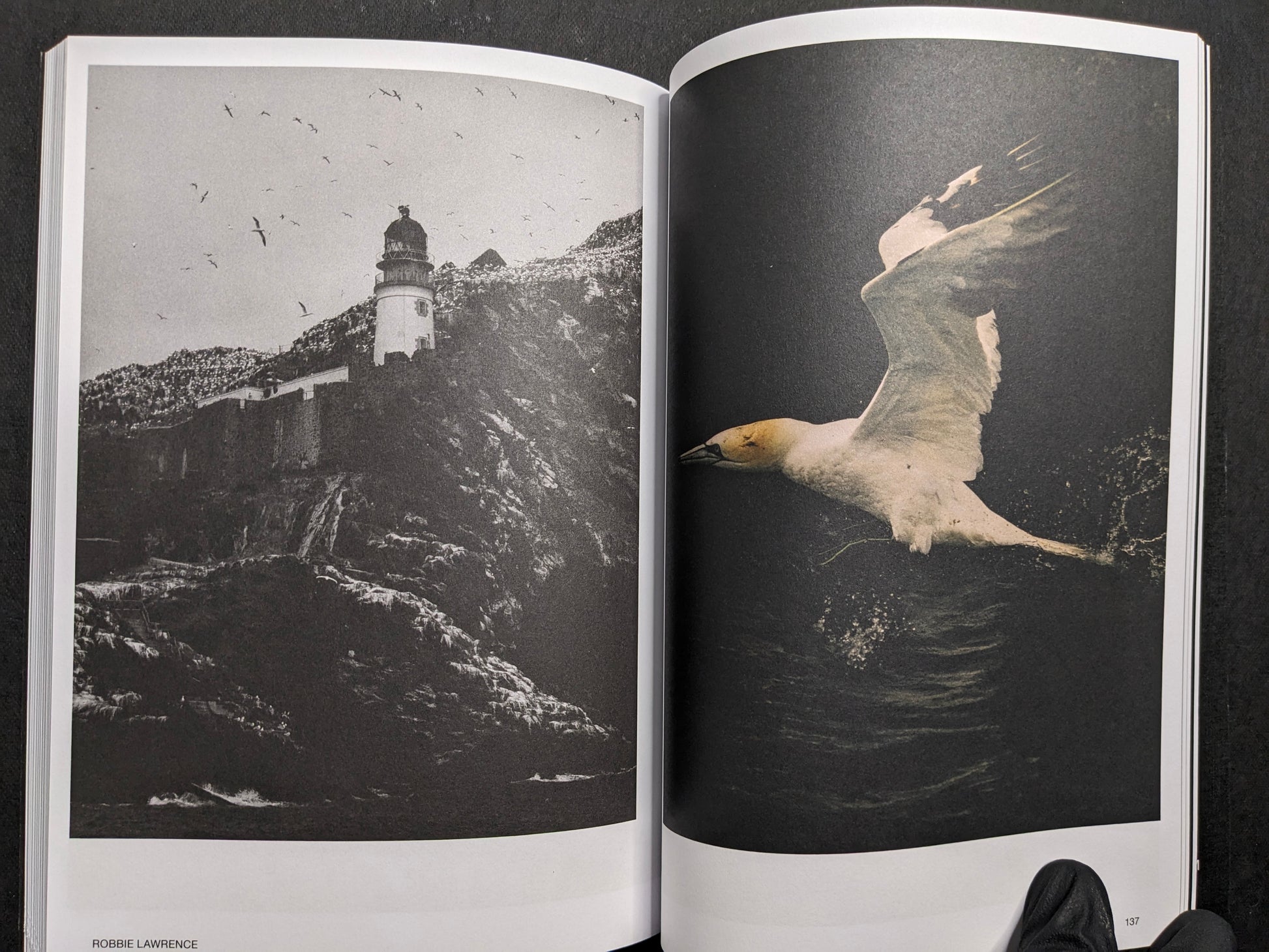 Robbie Lawrence portfolio spread in Hotshoe Issue 209: An Emotional Landscape.