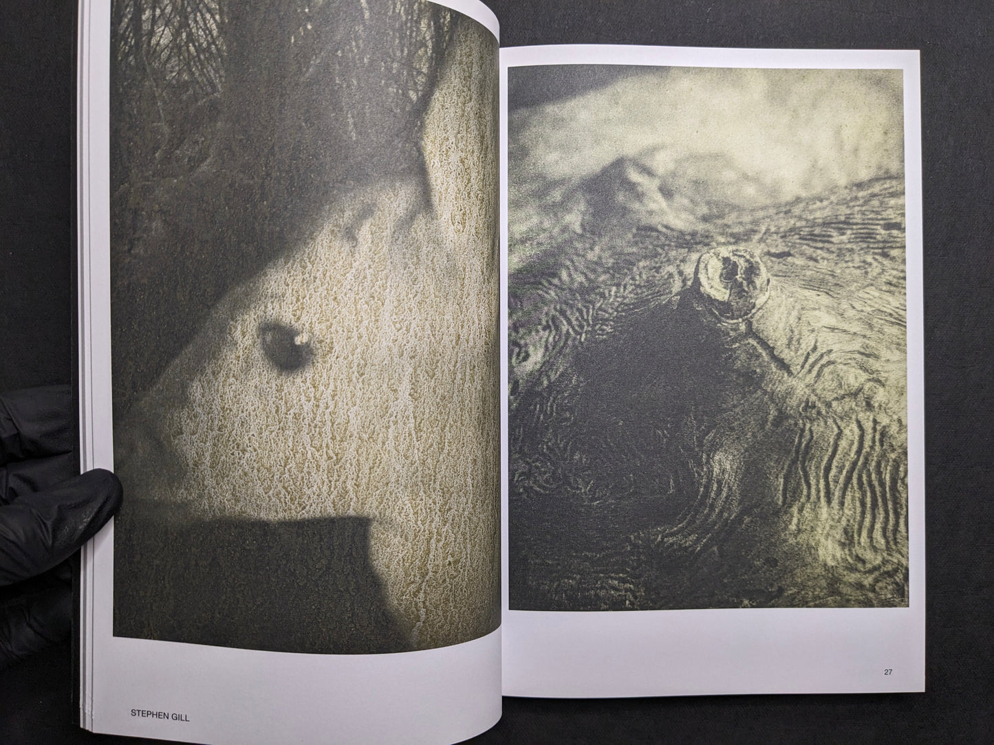 Interior spread for Stephen Gill, pairing a shadowed woodland image with a textured close-up surface.