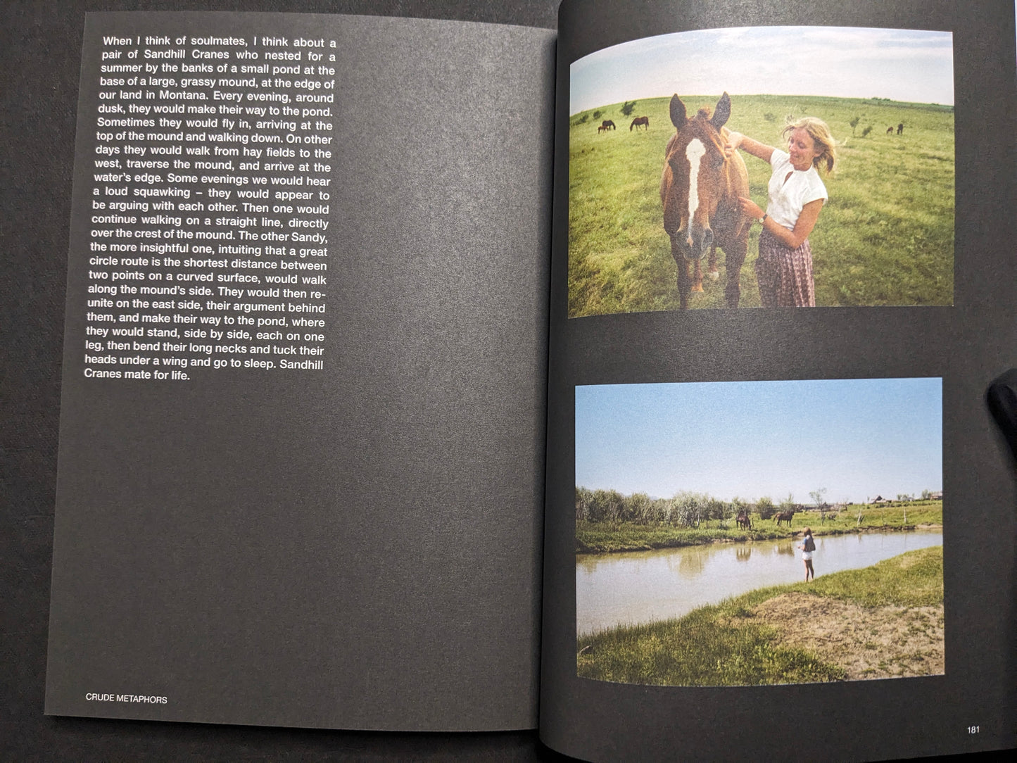 Inside spread from Hotshoe Issue 214, titled Crude Metaphors, with text and two colour photographs: a woman with a horse and a figure by a pond.