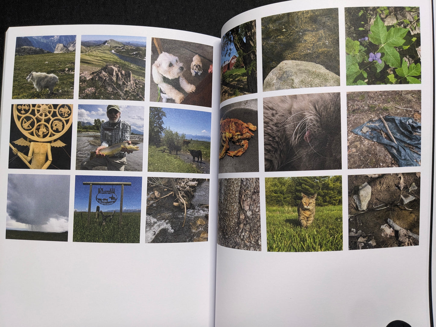 Inside spread from Hotshoe Issue 214 showing a grid of small colour photographs of landscapes, animals, plants, and everyday scenes.