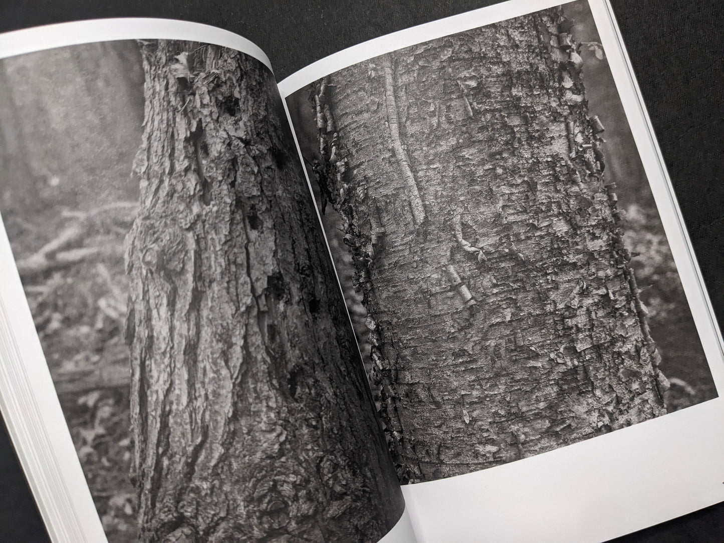 Inside spread from Hotshoe Issue 214 with black-and-white close-ups of tree bark texture.