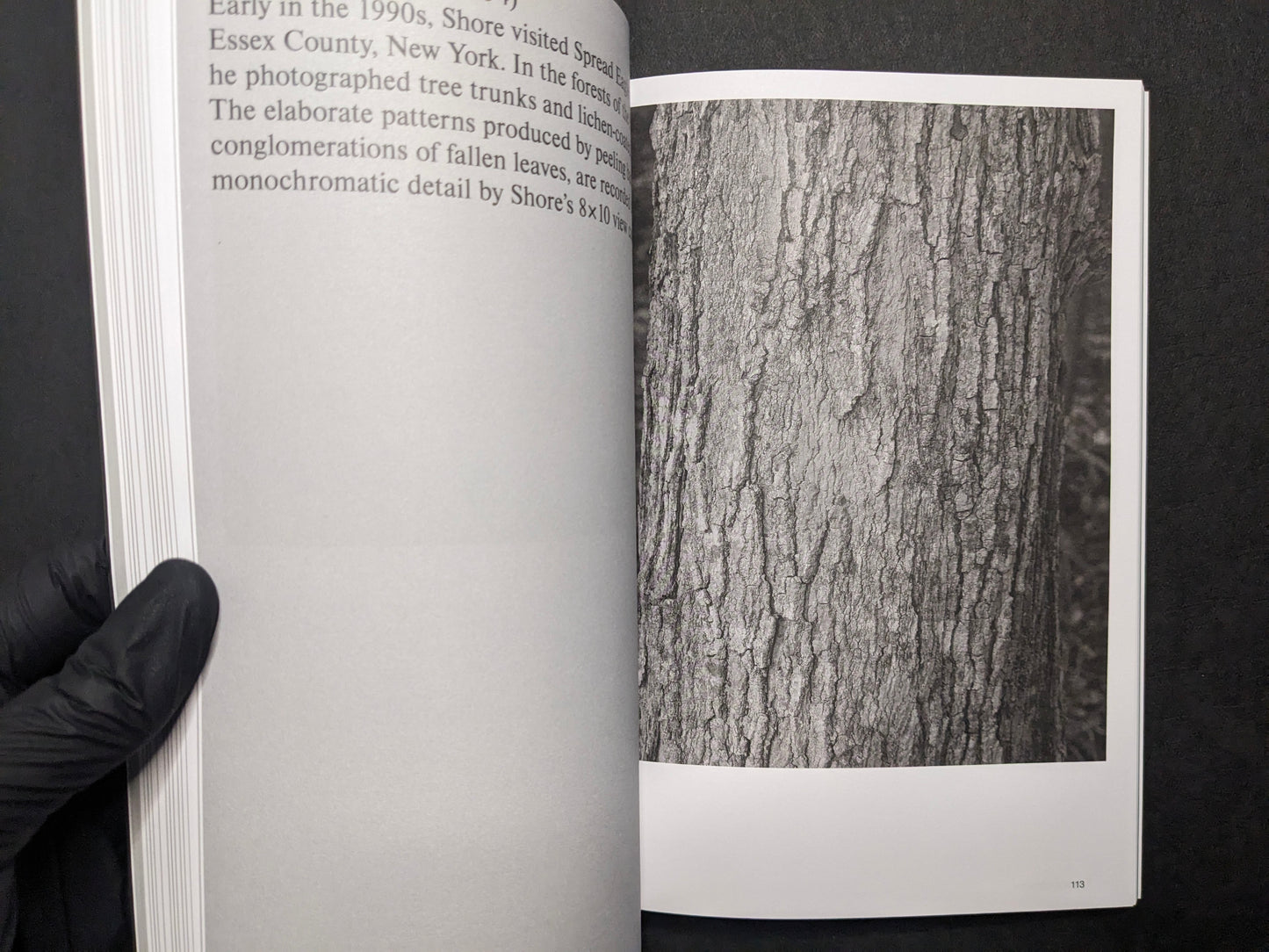 Interior spread from Hotshoe Issue 214 with an essay page opposite a black-and-white photograph of tree bark texture.