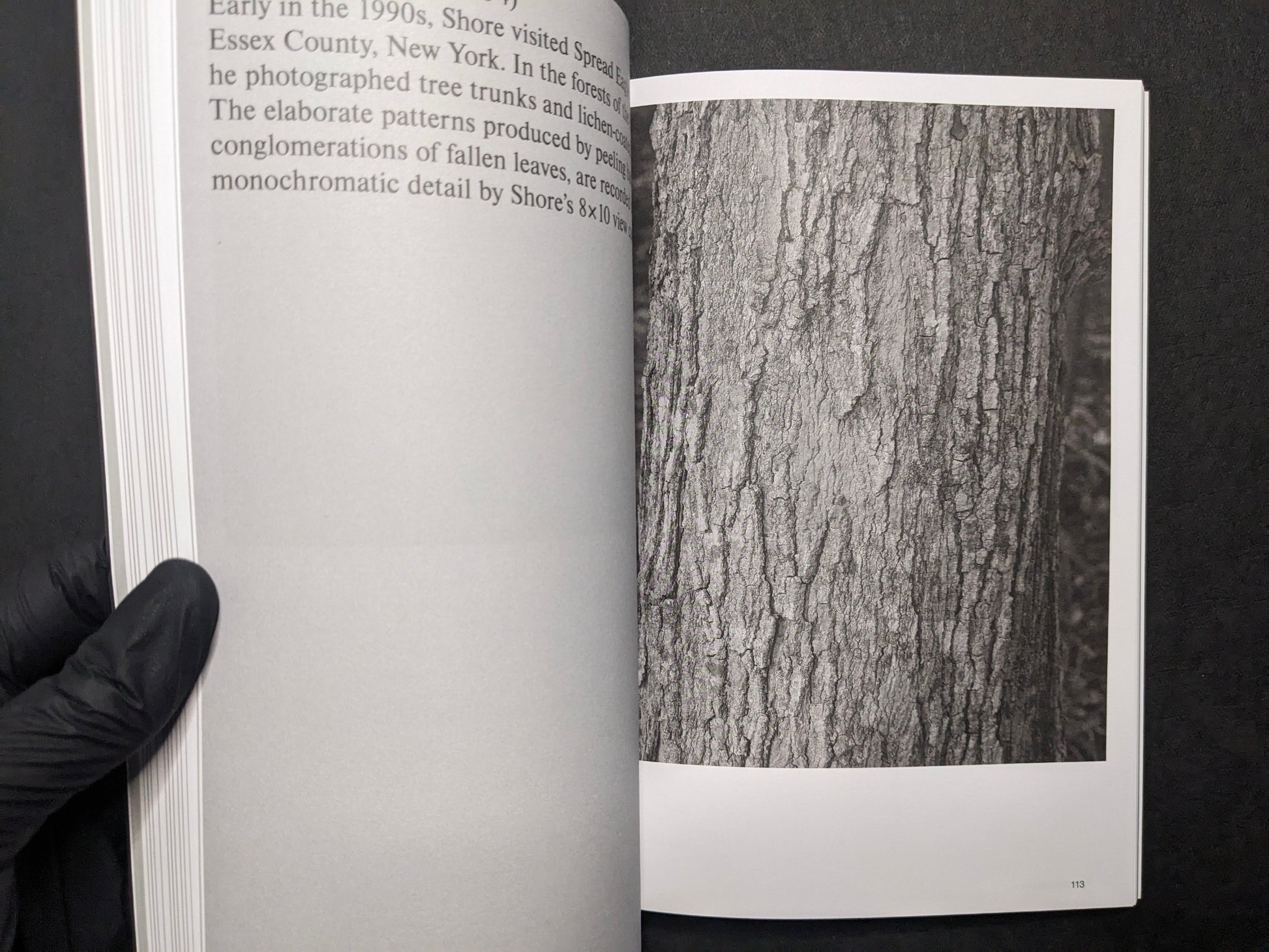Interior spread from Hotshoe Issue 214 with an essay page opposite a black-and-white photograph of tree bark texture.