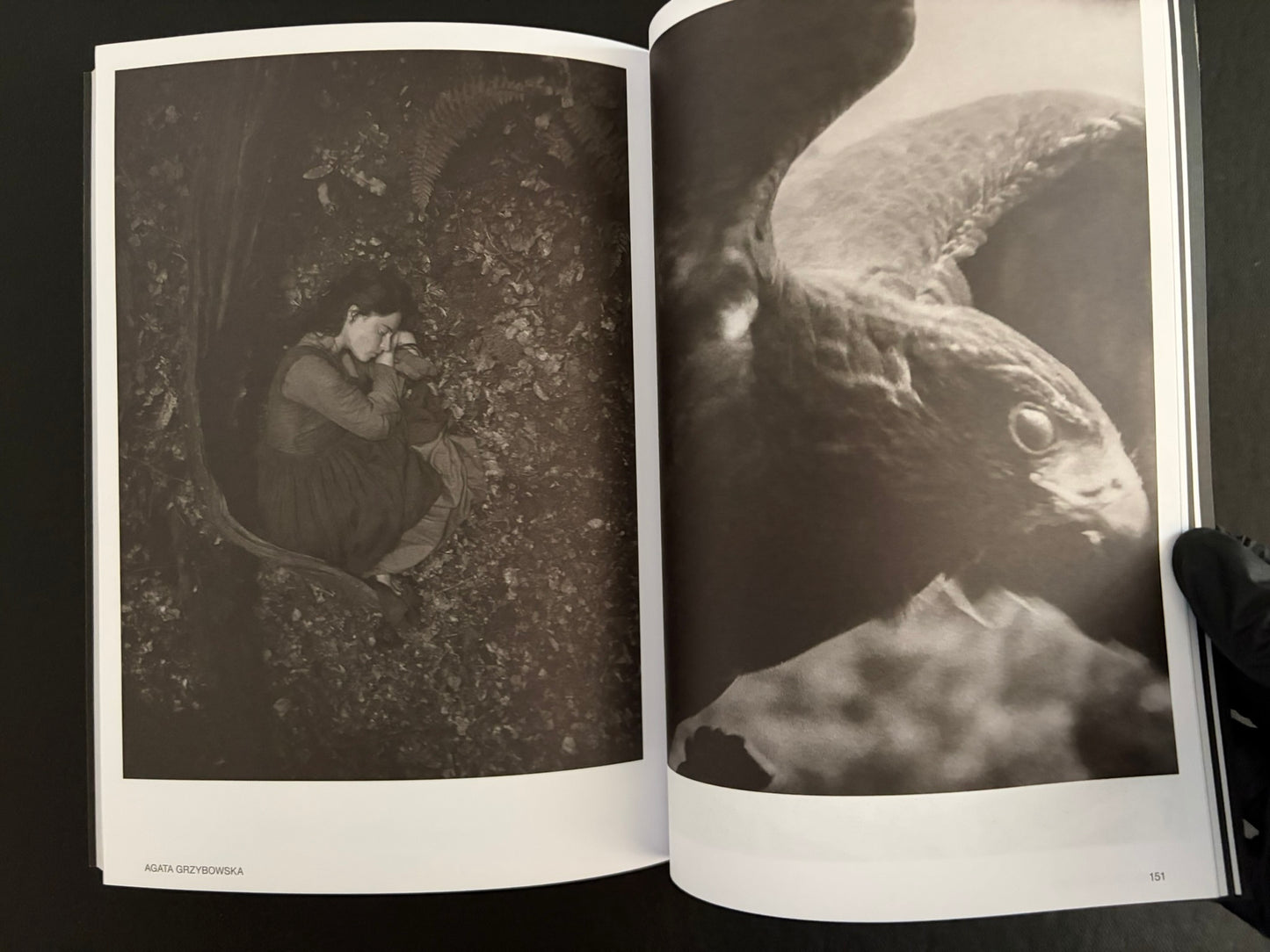 Interior spread from Hotshoe Issue 215 with a seated figure and a close-up fish image