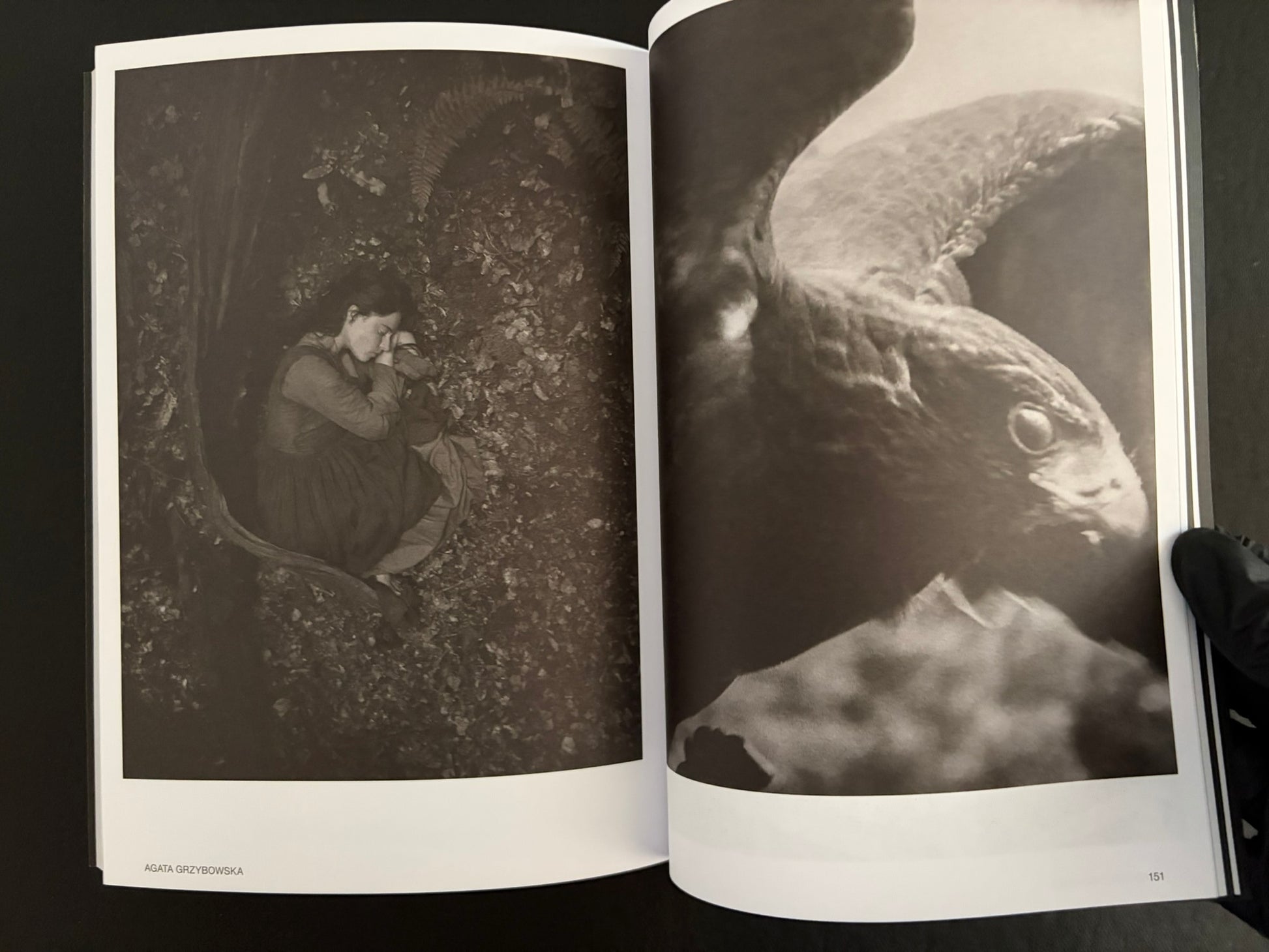 Interior spread from Hotshoe Issue 215 with a seated figure and a close-up fish image