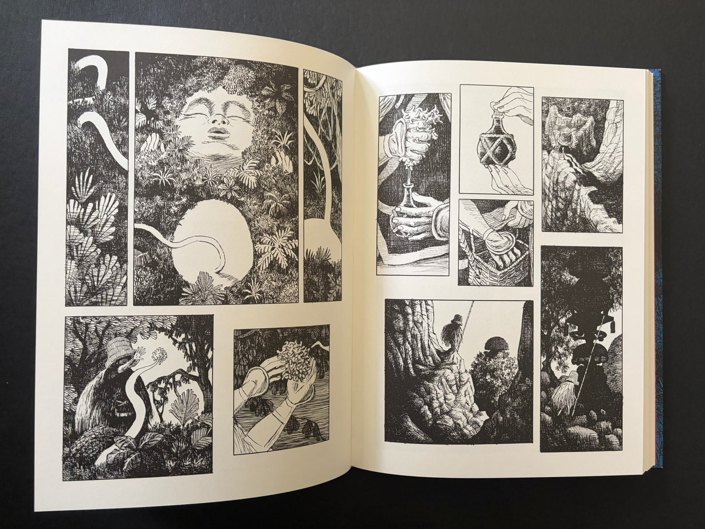 Open GariGari spread with a large face framed by plants and smaller panels of hands, objects, and figures.