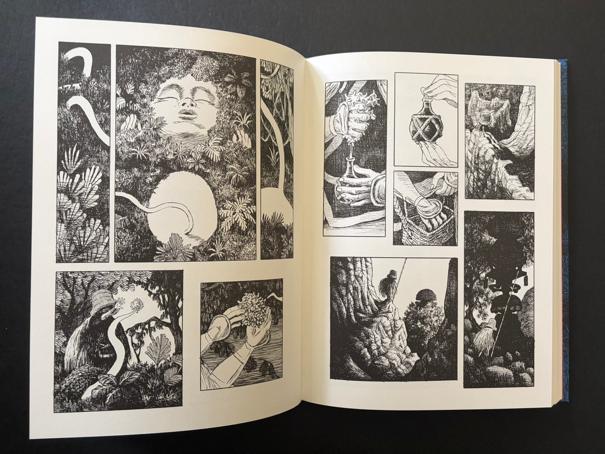 Open GariGari spread with a large face framed by plants and smaller panels of hands, objects, and figures.