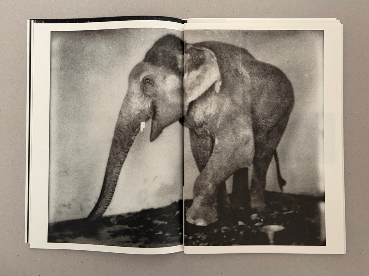 Open spread from Hunger: Epilogue by Michael Ackerman, showing a grainy black-and-white photograph of an elephant across two pages.