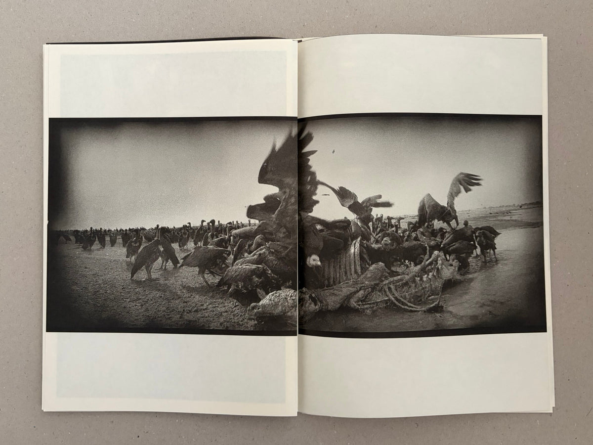 Open photobook spread from Hunger: Epilogue by Michael Ackerman, showing a black-and-white panoramic image across two pages with birds gathered on a shoreline.
