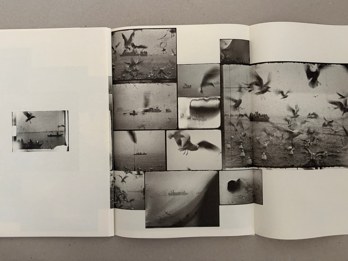 Open photobook spread from Hunger: Epilogue by Michael Ackerman, showing a black-and-white fold-out collage of birds over water and small boat scenes.