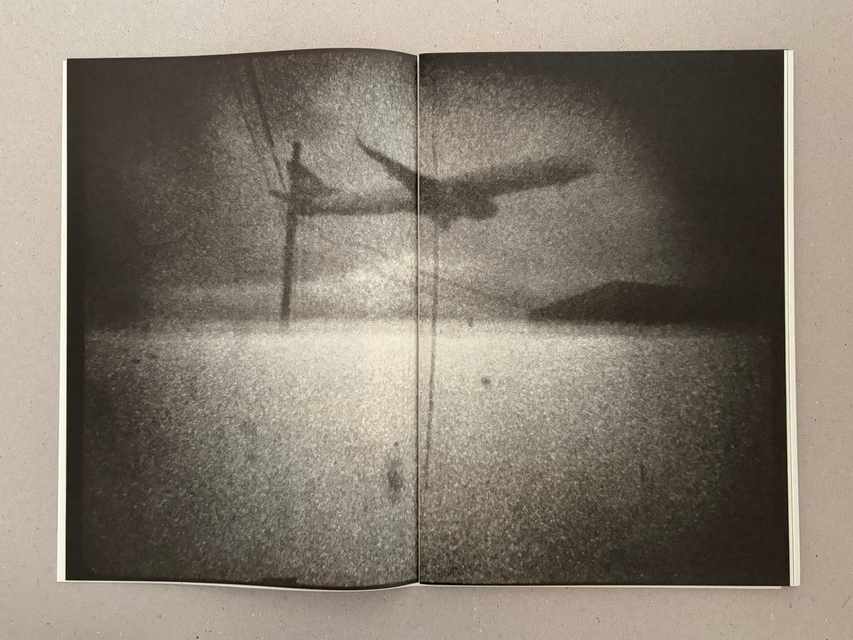 Open spread from Hunger: Epilogue (2nd Ed.) by Michael Ackerman, showing a grainy black-and-white image across both pages.