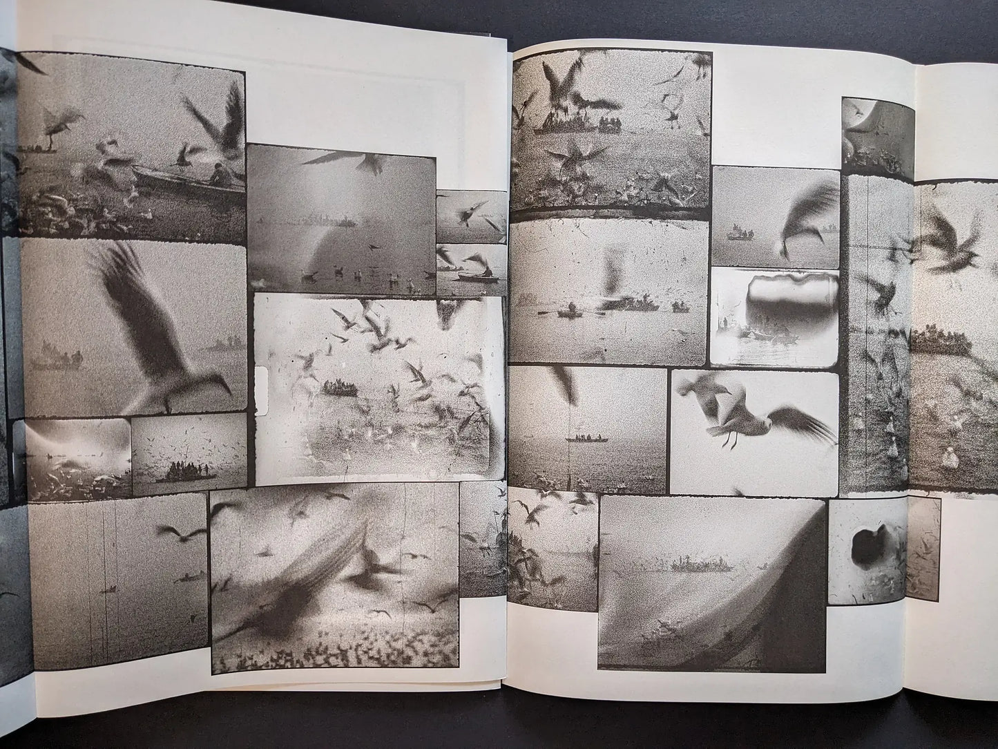 Fold-out interior from Hunger: Epilogue showing grainy black-and-white birds in flight and boats on a river.