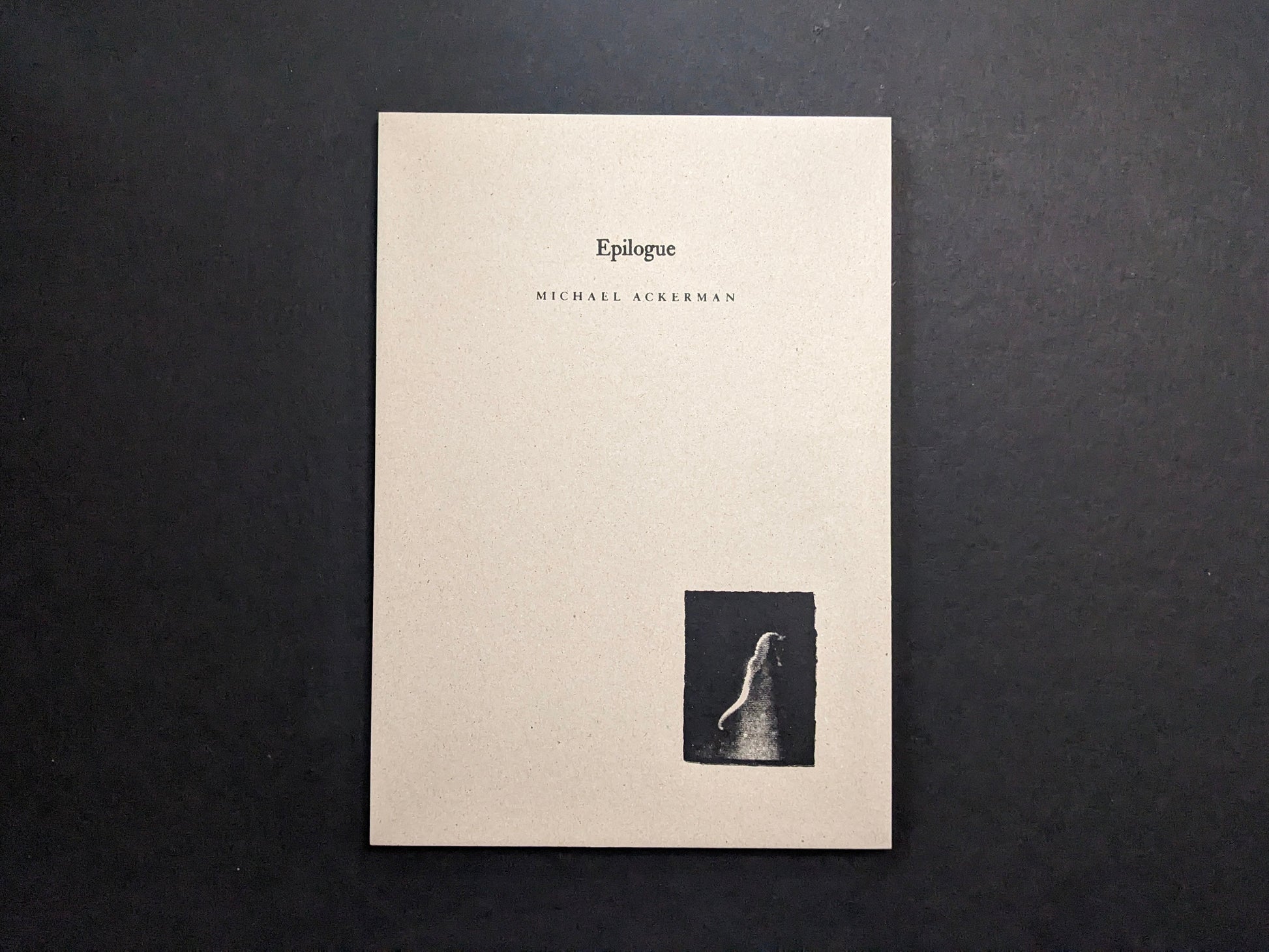 Hunger – Epilogue photobook cover by Michael Ackerman, grey cardboard with black title and a small black-and-white image of a ghostly figure.