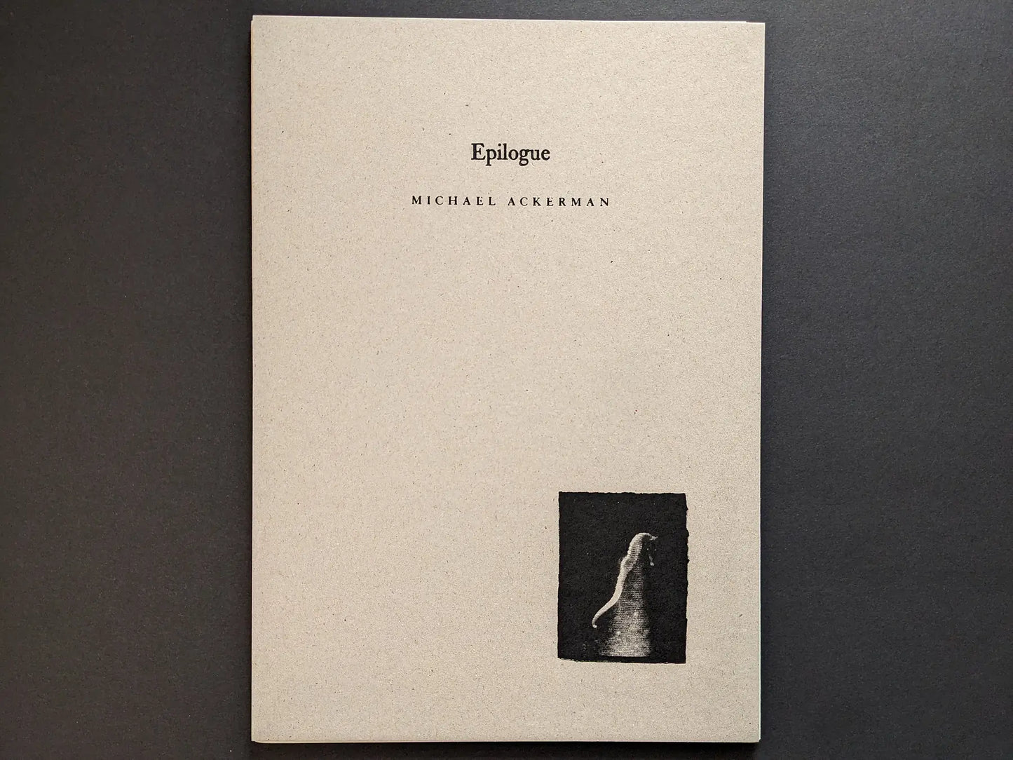 Hunger – Epilogue photobook cover by Michael Ackerman, grey cardboard with black title and a small black-and-white image of a ghostly figure.