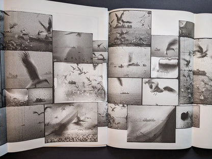 Fold-out interior from Hunger – Epilogue showing a collage of grainy black-and-white images of birds in flight and boats on a river.