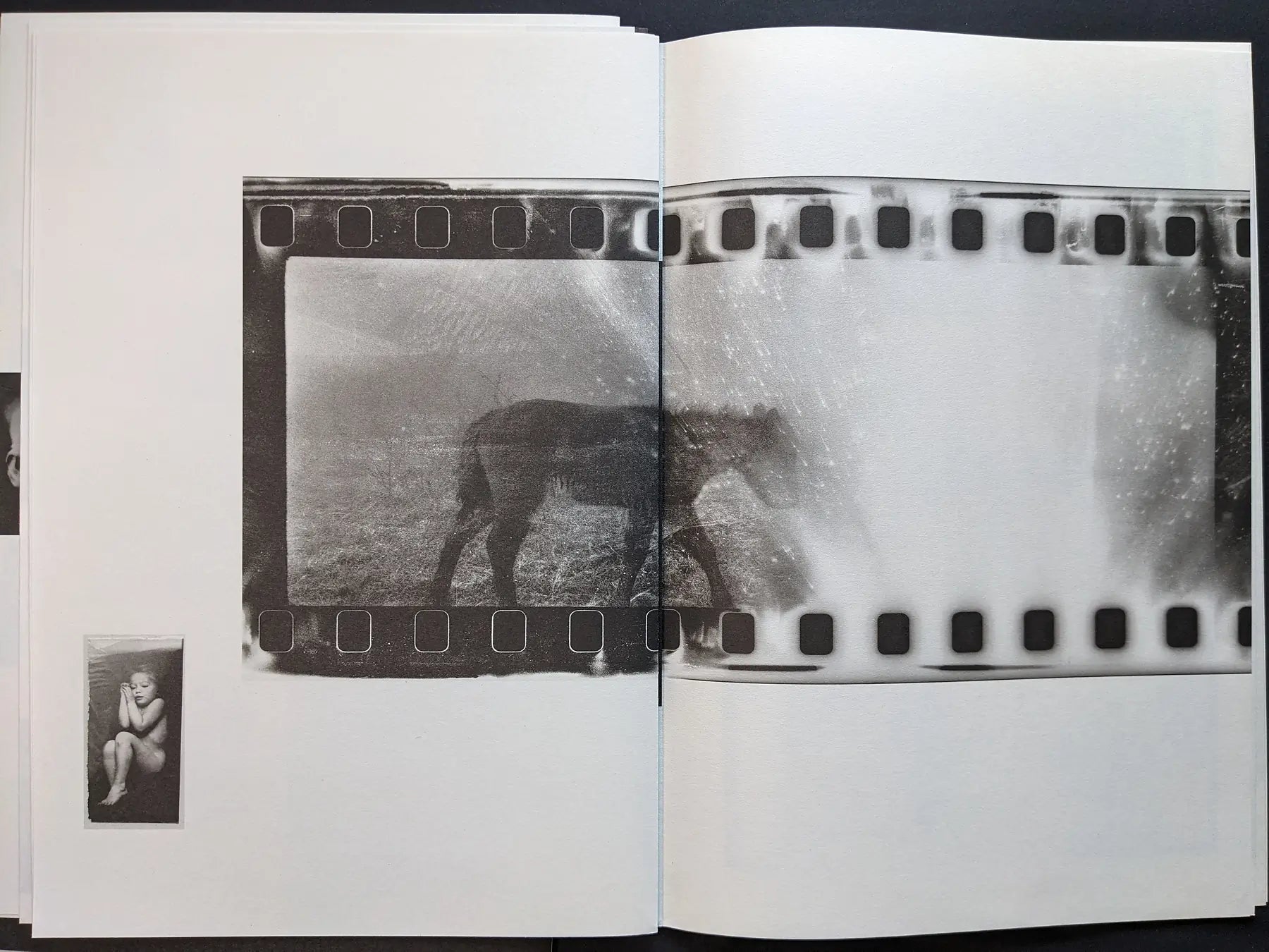 Interior spread from Hunger – Epilogue showing a grainy film strip frame of a horse in a field across both pages with a small inset image of a child curled up at the bottom left.