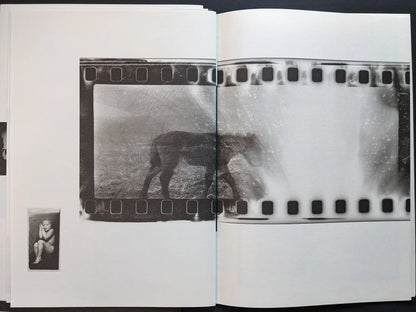 Interior spread from Hunger – Epilogue showing a grainy film strip frame of a horse in a field across both pages with a small inset image of a child curled up at the bottom left.