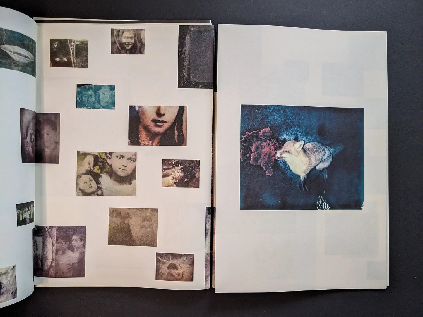 Interior spread from Hunger – Epilogue combining small tinted portraits and details on the left with a blue-toned photograph of a fox sniffing a red object on the right.