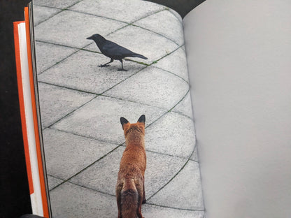 Photograph of a fox facing a crow on a paved surface.