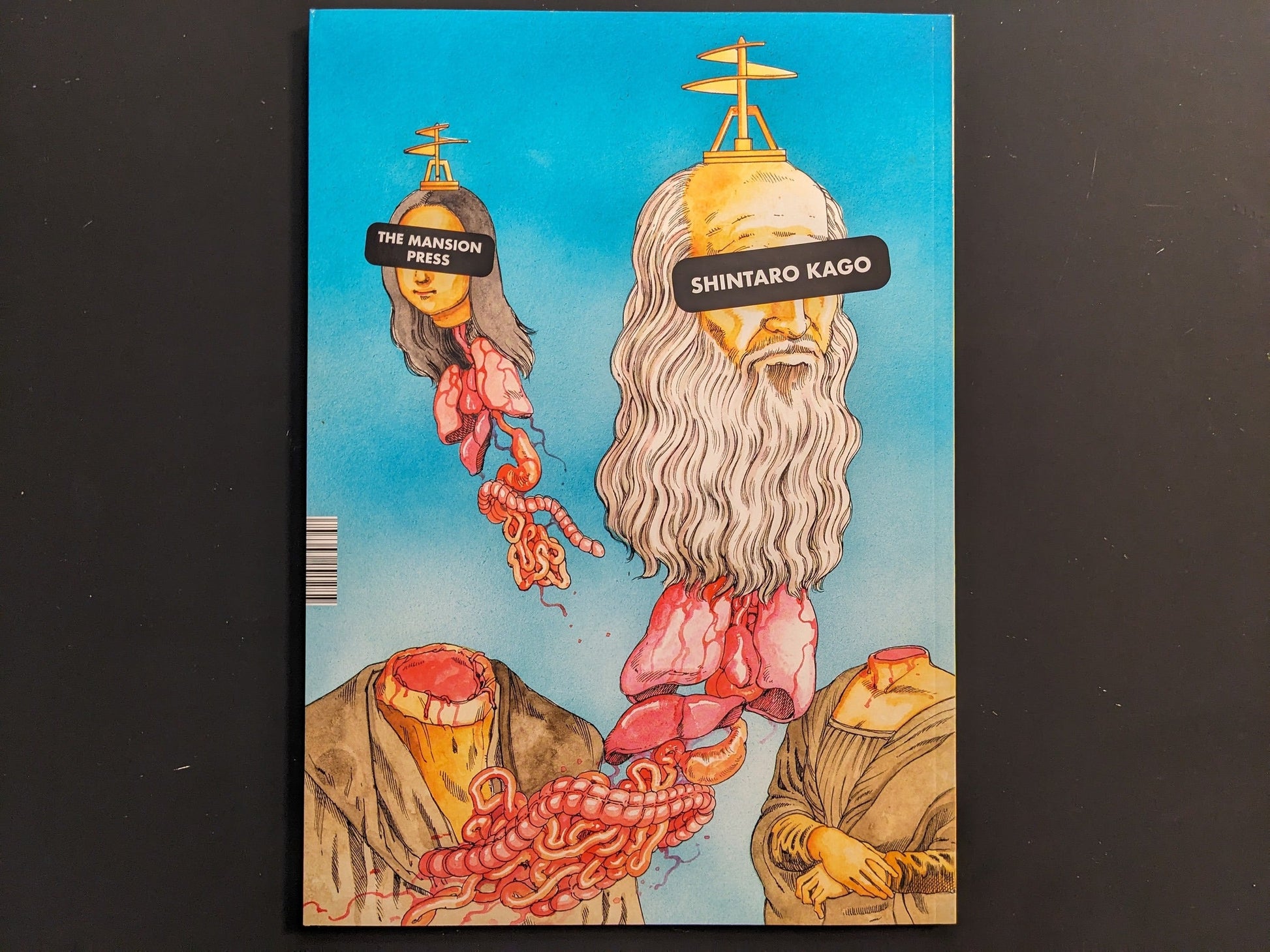 Back cover of ICONS vol.1 by Shintaro Kago, softcover with French flaps, The Mansion Press.