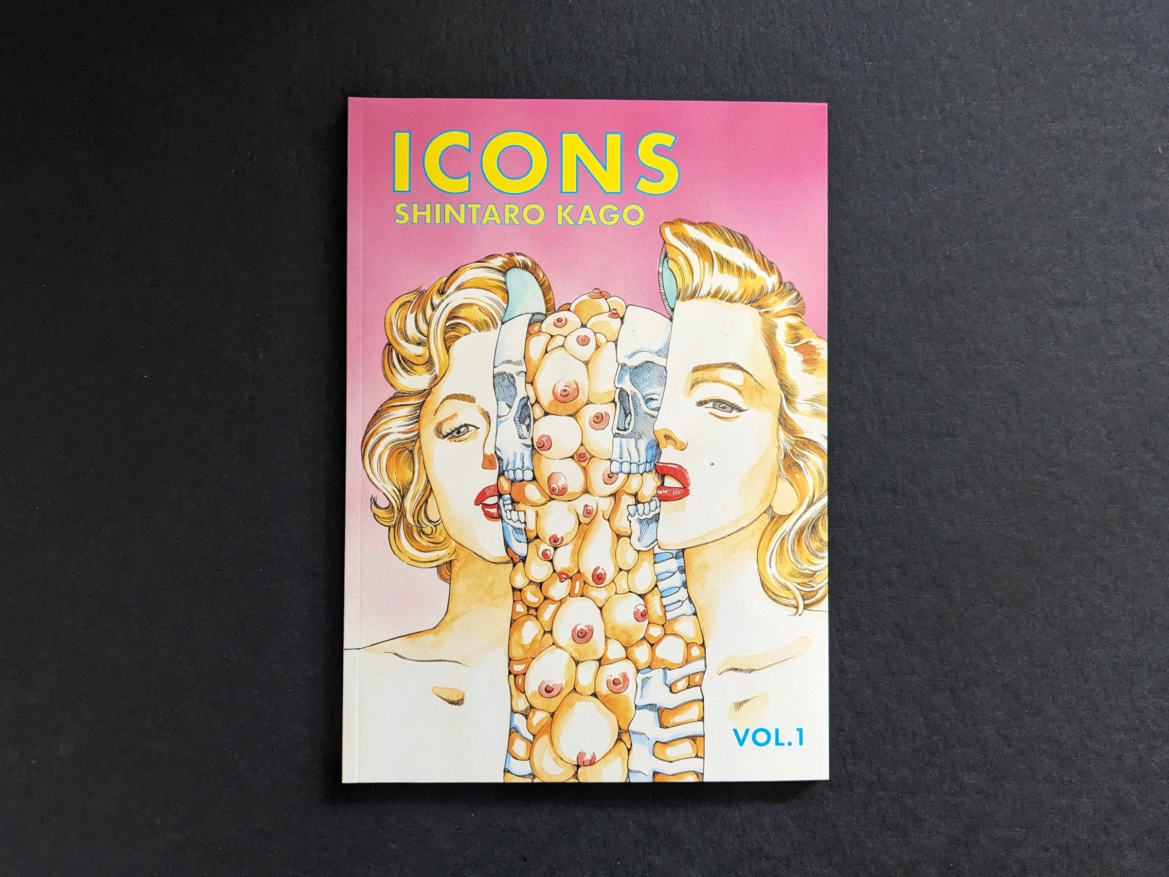 ICONS vol.1 Shintaro Kago - The Mansion Press | Lokator100