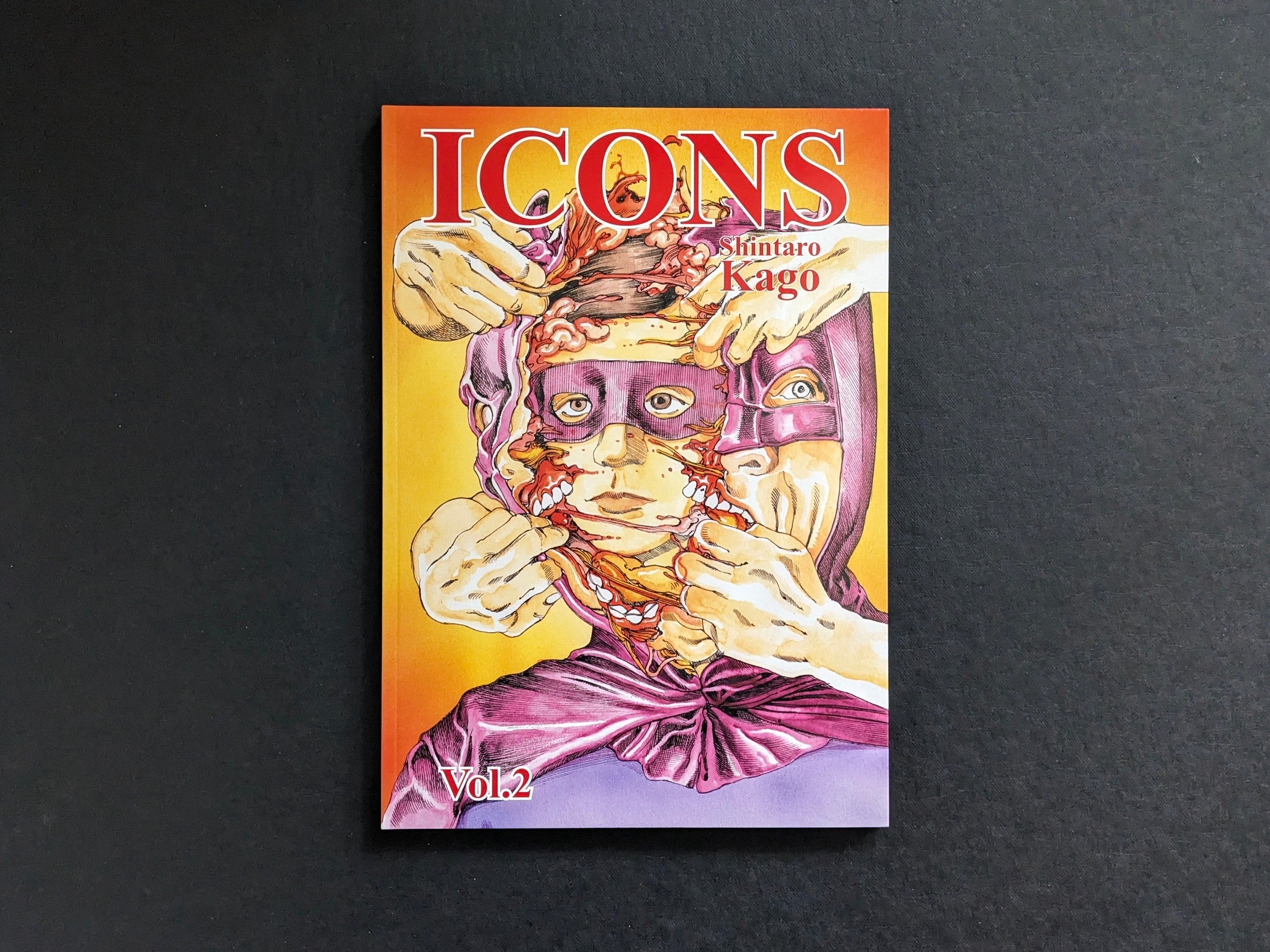 ICONS vol.2 Shintaro Kago – The Mansion Press – Lokator100