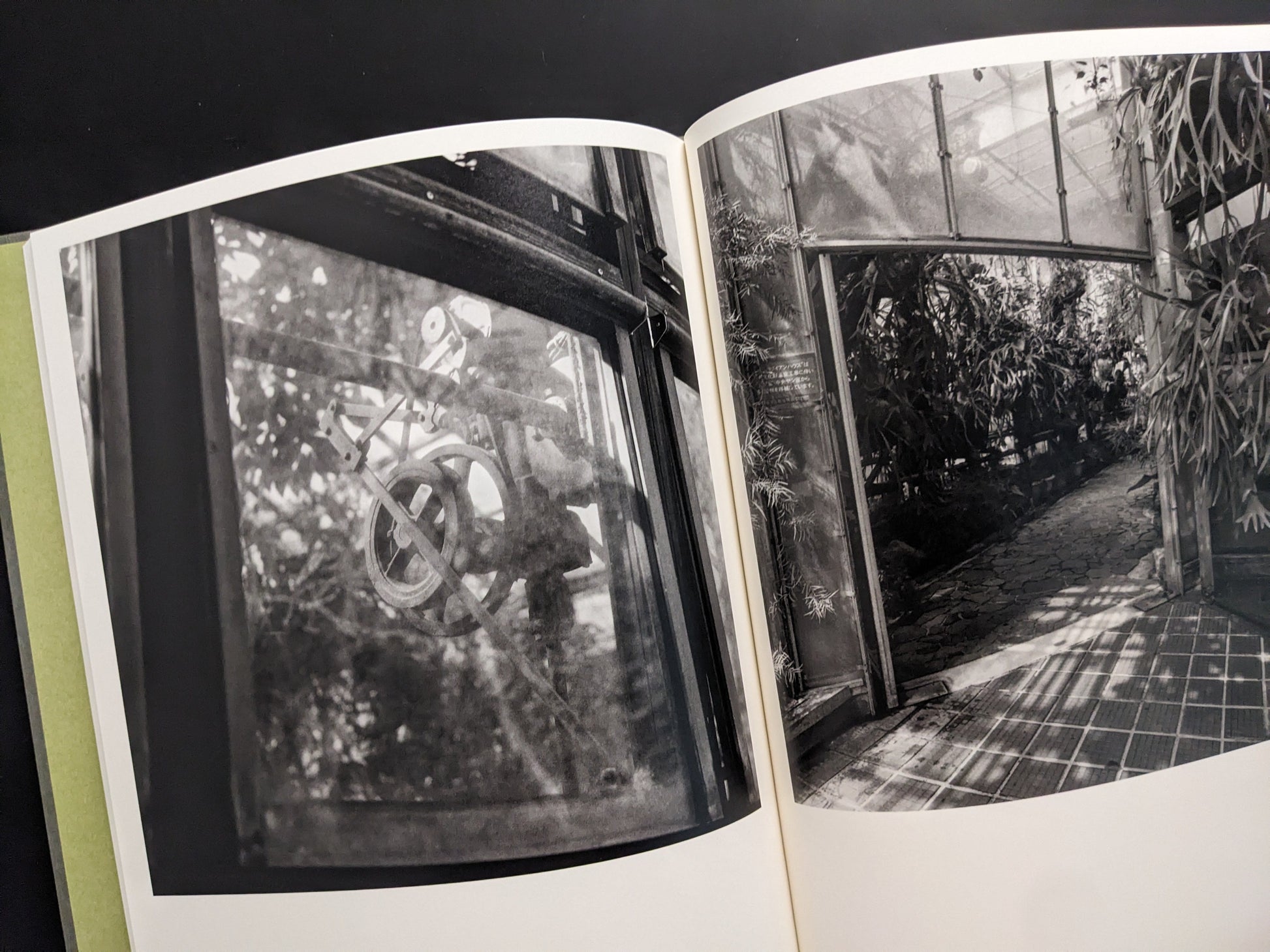 Mechanical structure and interior of a greenhouse captured in black and white by Takeshi Shinoda in Im Treibhaus.