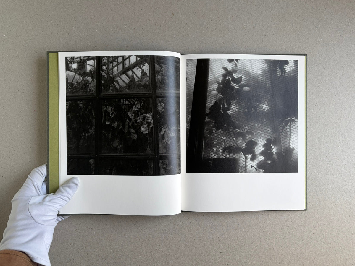 Open spread of Im Treibhaus by Takeshi Shinoda, showing two black-and-white greenhouse photographs on facing pages.