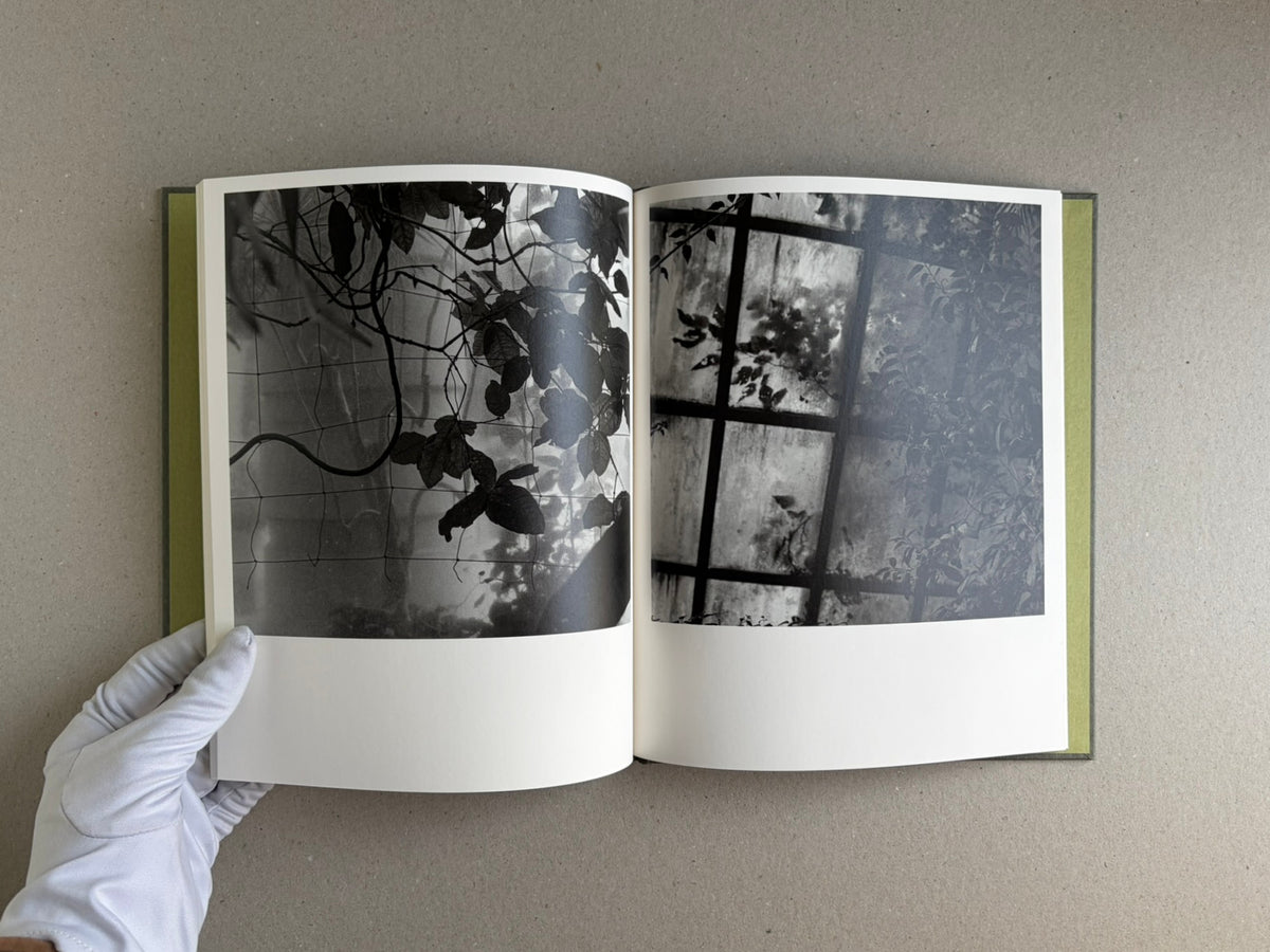 Open spread of Im Treibhaus by Takeshi Shinoda, showing two black-and-white greenhouse photographs with plants silhouetted against glass and misty light.