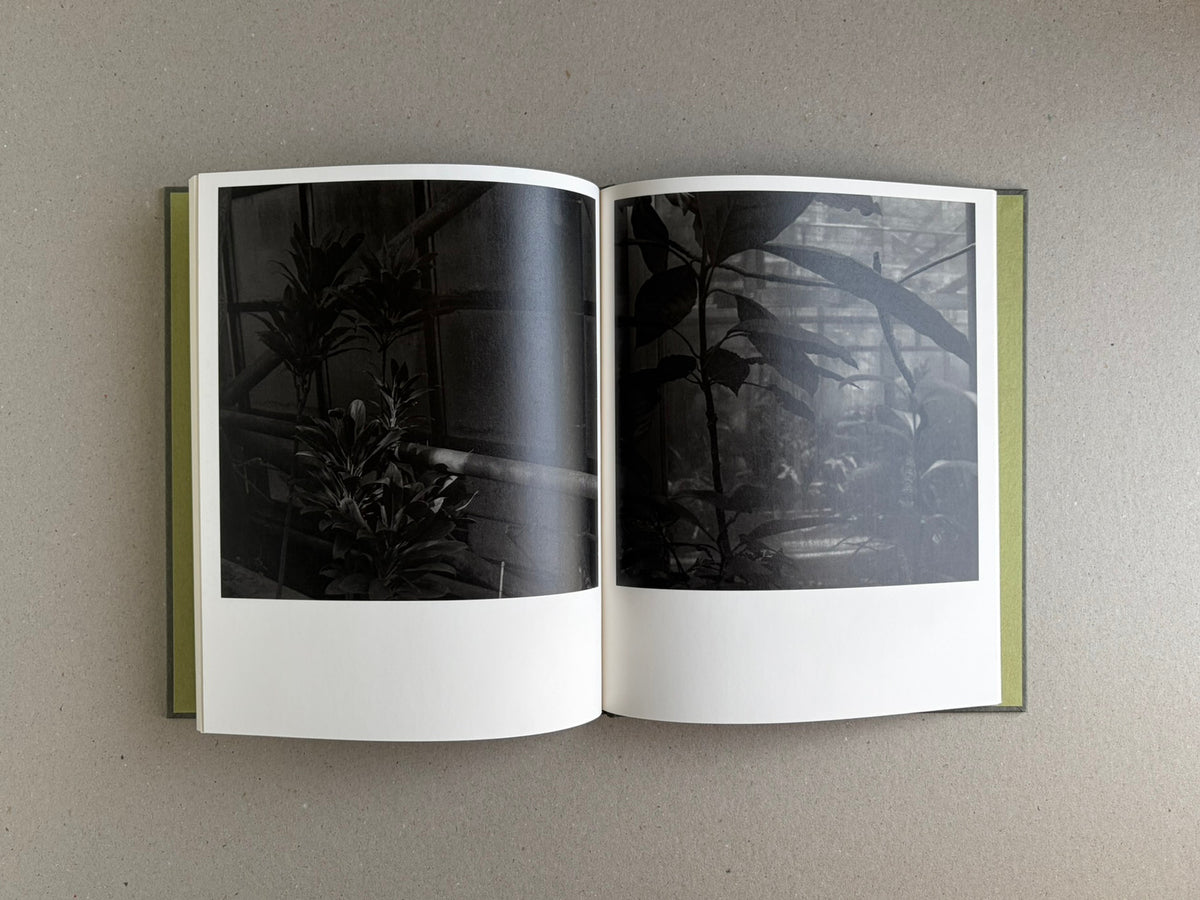 Open spread from Im Treibhaus by Takeshi Shinoda, showing two dark black-and-white greenhouse photographs of plants.