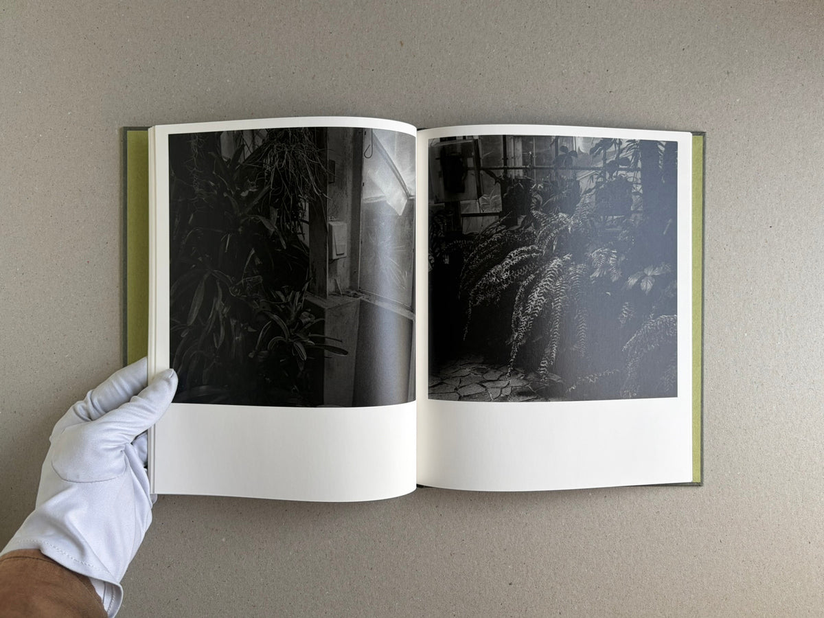 Open spread of Im Treibhaus by Takeshi Shinoda, showing two dark black-and-white greenhouse photographs.
