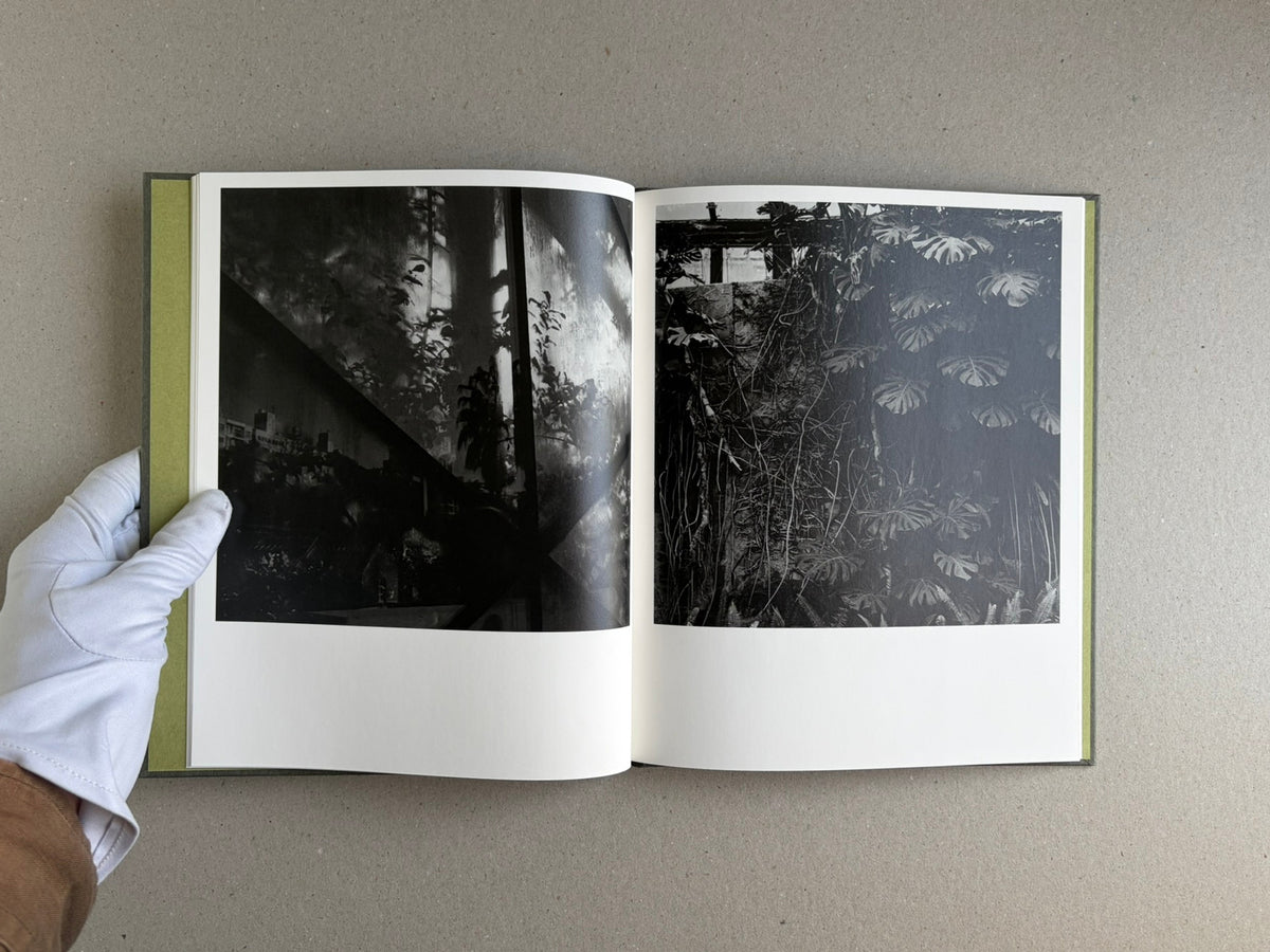 Open spread of Im Treibhaus by Takeshi Shinoda, showing two black-and-white photographs of greenhouse interiors and dense tropical plants.