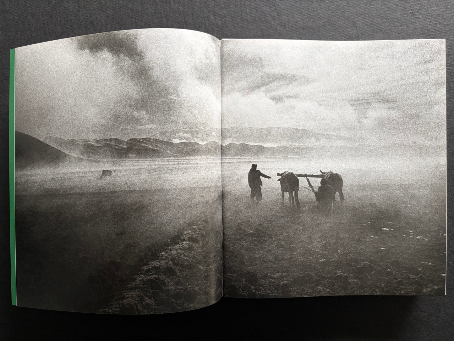 Index by Christopher Anderson, black-and-white landscape spread with figures and animals in a wide open terrain.