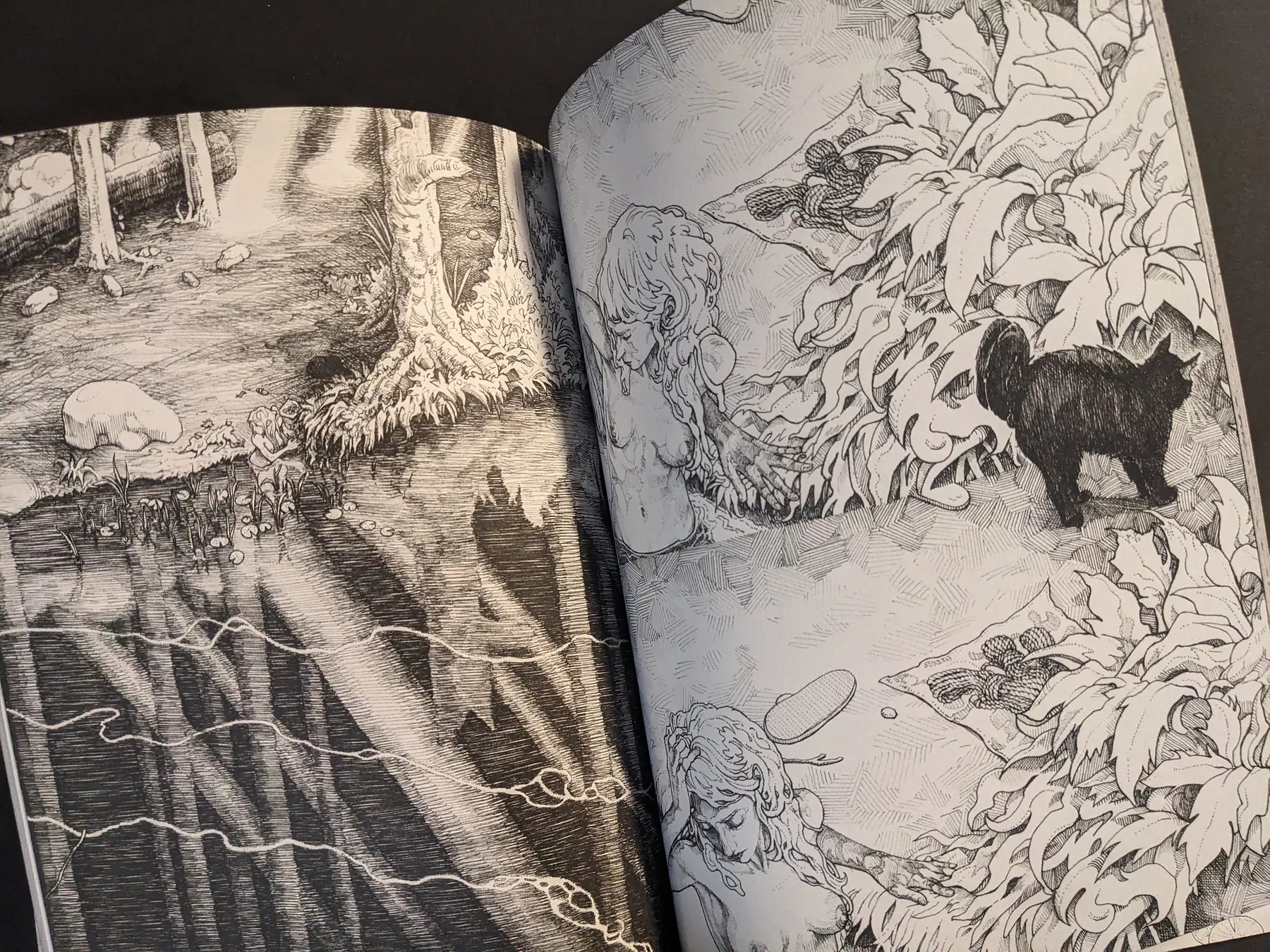 Interior spread with forest stream, dense foliage, and a hidden figure near the water