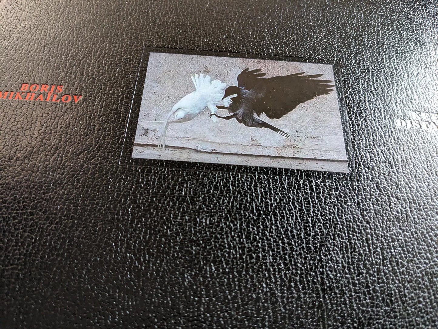 Close-up of Keep Distance cover showing textured black board and inset image of a white bird and black bird in flight.