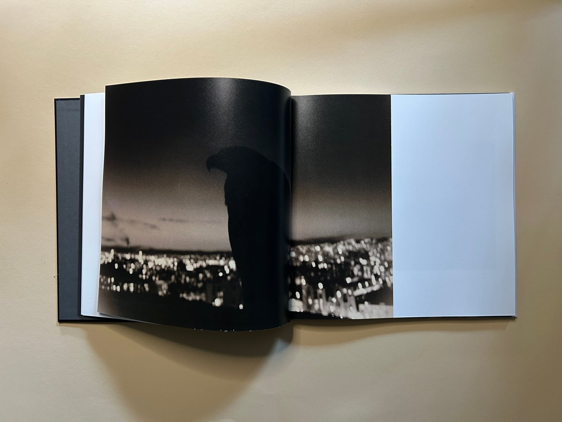 Kurayami photobook by Masao Yamamoto and Akira Uchida, IIKKI edition