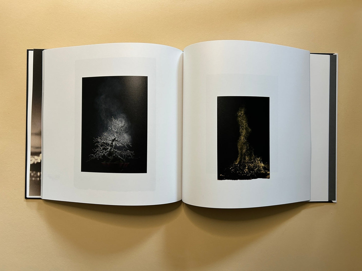 Kurayami by Masao Yamamoto and Akira Uchida, IIKKI photobook
