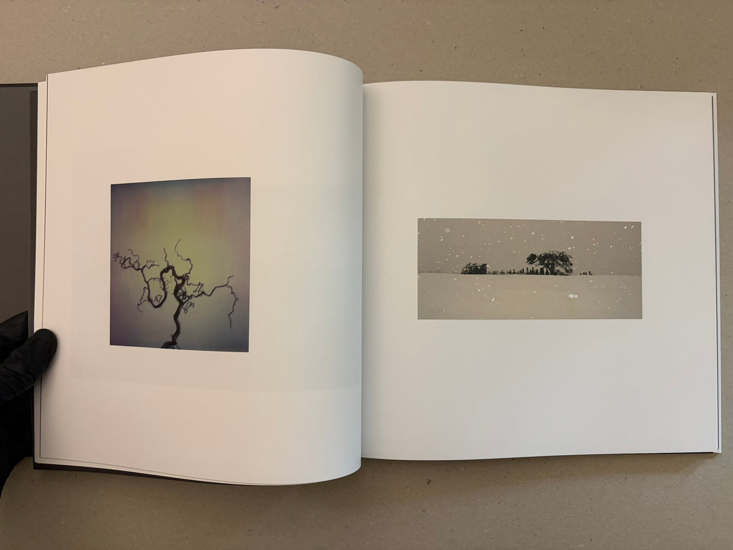 Open Kurayami spread with two small photographs, one of a bare branch against a pale gradient and one of a snowy horizon with trees.